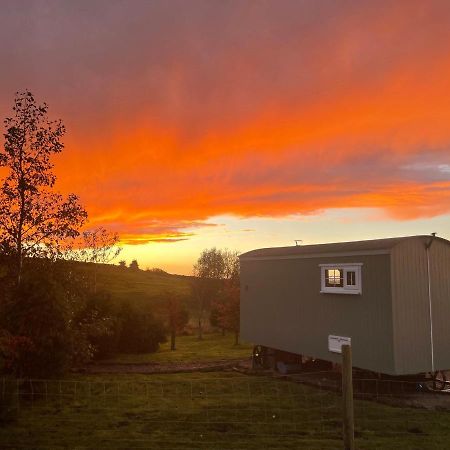 The Buteland Stop Rosie Off Grid Shepherds Hut Villa Bellingham Exterior photo