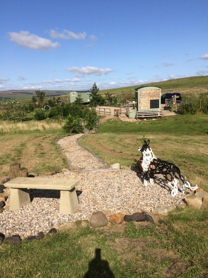 The Buteland Stop Rosie Off Grid Shepherds Hut Villa Bellingham Exterior photo