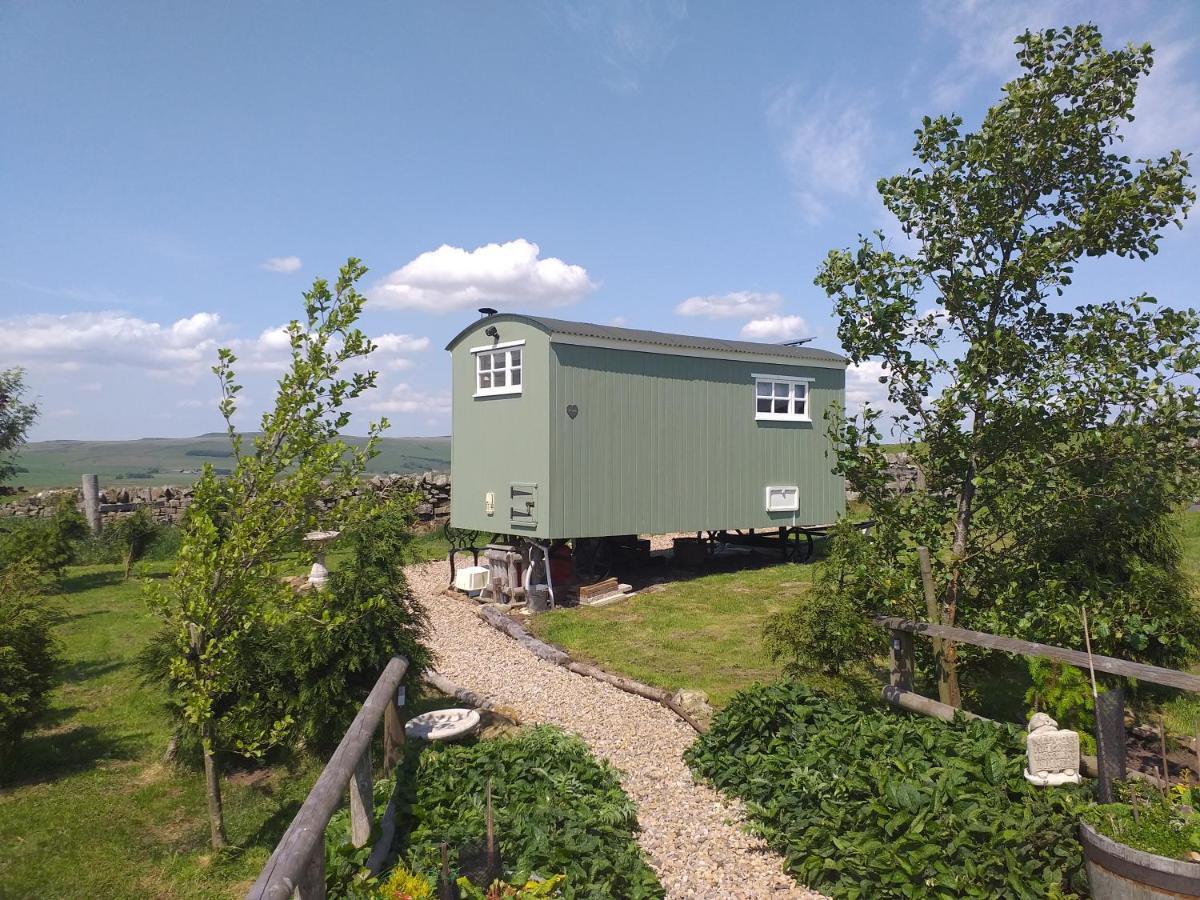 The Buteland Stop Rosie Off Grid Shepherds Hut Villa Bellingham Exterior photo