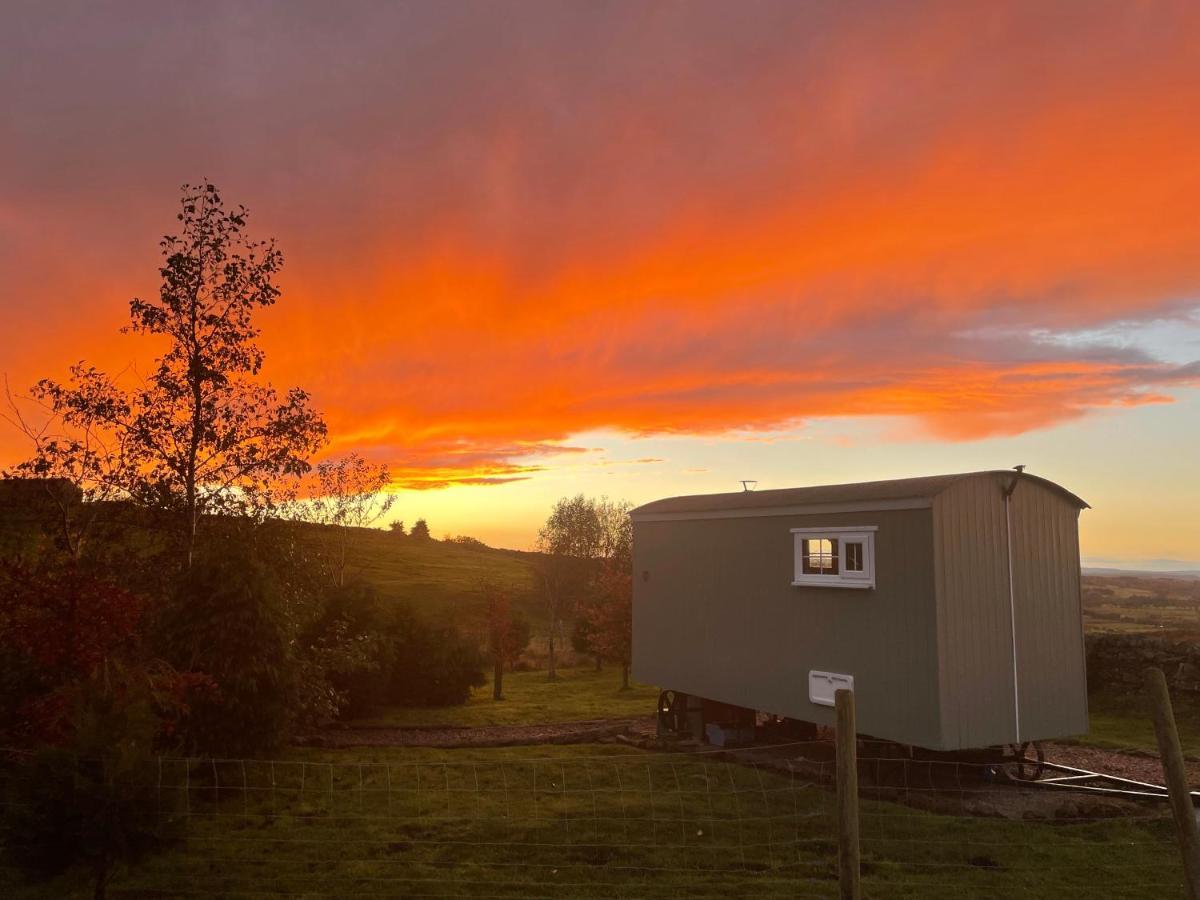 The Buteland Stop Rosie Off Grid Shepherds Hut Villa Bellingham Exterior photo