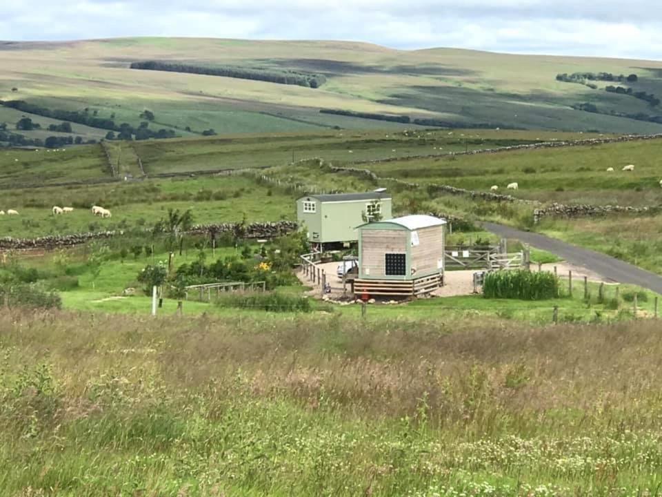 The Buteland Stop Rosie Off Grid Shepherds Hut Villa Bellingham Exterior photo