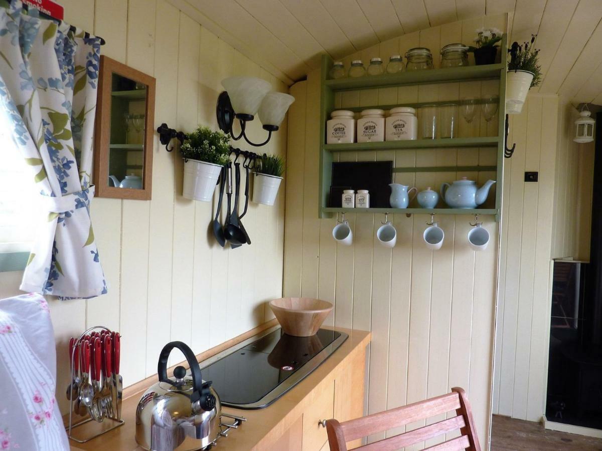 The Buteland Stop Rosie Off Grid Shepherds Hut Villa Bellingham Exterior photo