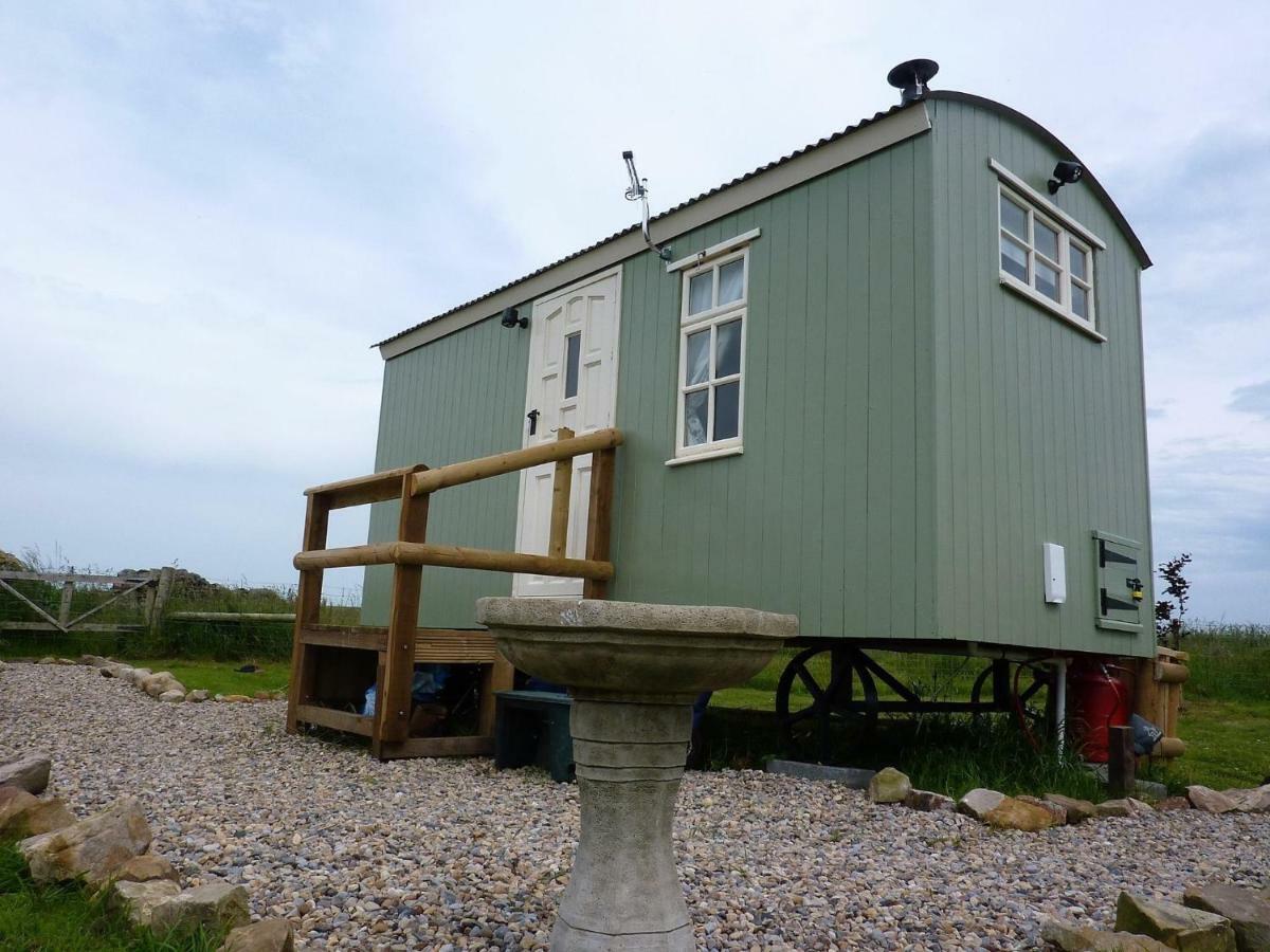 The Buteland Stop Rosie Off Grid Shepherds Hut Villa Bellingham Exterior photo