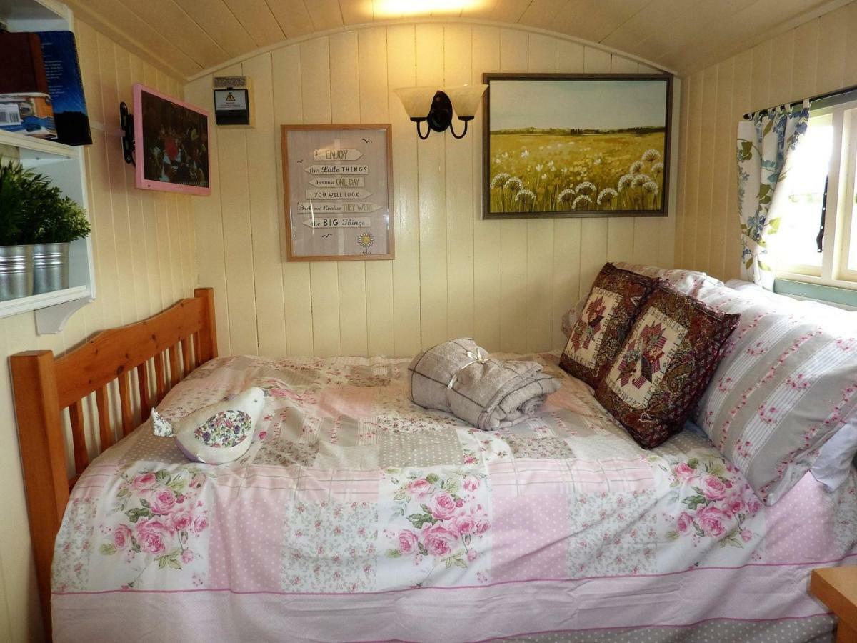 The Buteland Stop Rosie Off Grid Shepherds Hut Villa Bellingham Exterior photo