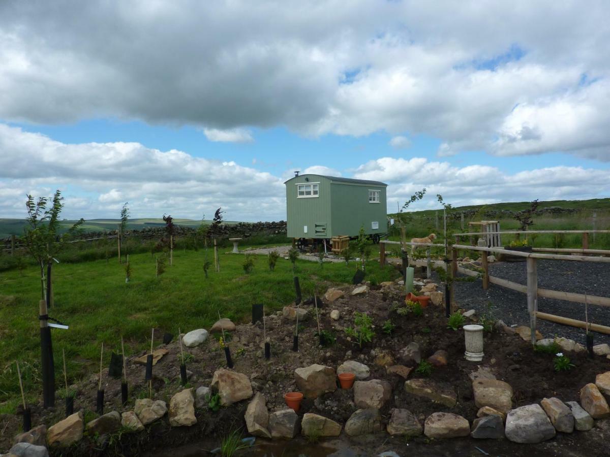 The Buteland Stop Rosie Off Grid Shepherds Hut Villa Bellingham Exterior photo