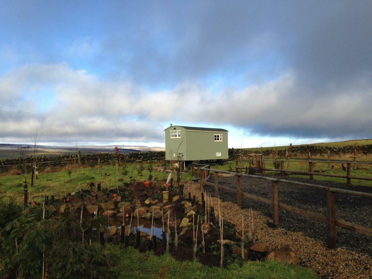 The Buteland Stop Rosie Off Grid Shepherds Hut Villa Bellingham Exterior photo