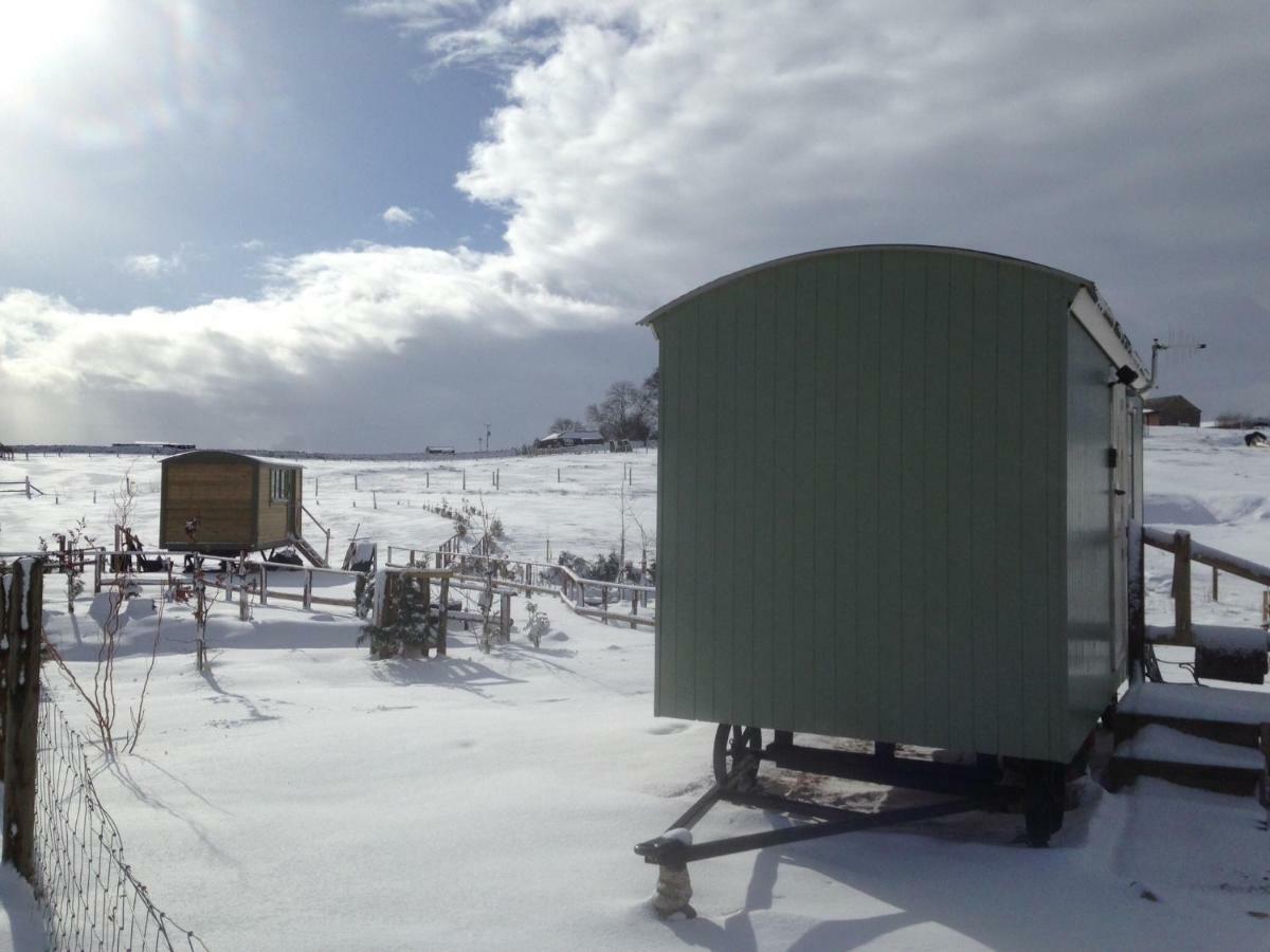 The Buteland Stop Rosie Off Grid Shepherds Hut Villa Bellingham Exterior photo