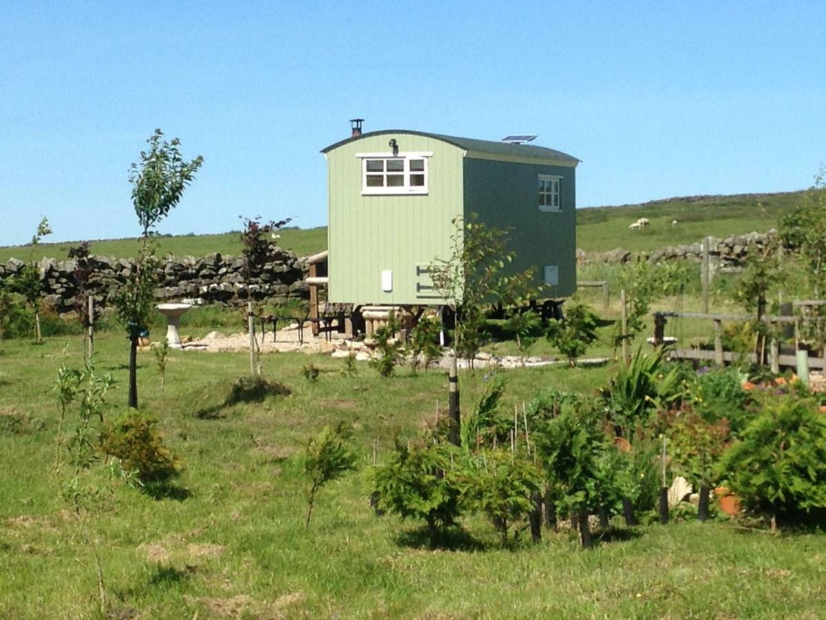 The Buteland Stop Rosie Off Grid Shepherds Hut Villa Bellingham Exterior photo