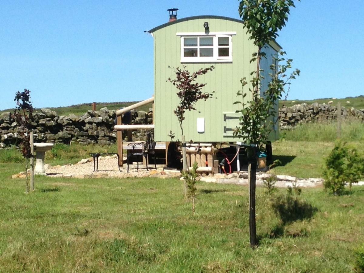 The Buteland Stop Rosie Off Grid Shepherds Hut Villa Bellingham Exterior photo